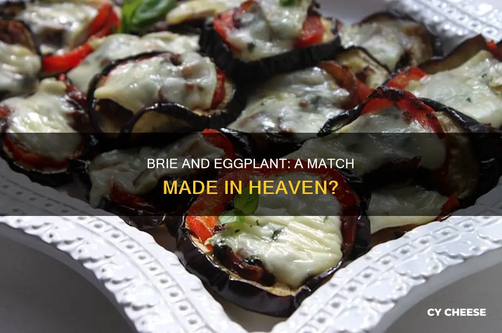 is brie cheese good on eggplant