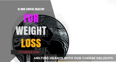 Brie Cheese: Healthy Weight Loss Superfood?