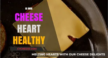 Brie Cheese: Healthy Heart or Health Hazard?