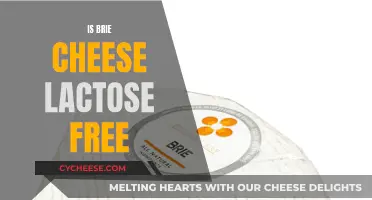Brie Cheese: Lactose-Free or Not?