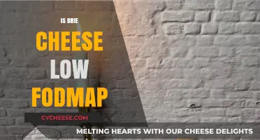 Is Brie Cheese Low FODMAP? A Digestive-Friendly Cheese Guide