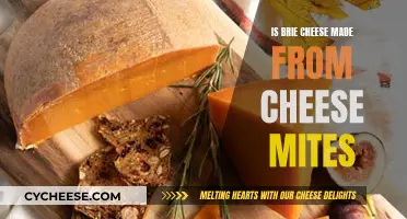 Brie Cheese and Mites: What's the Connection?