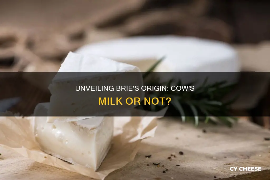 is brie cheese made from cow