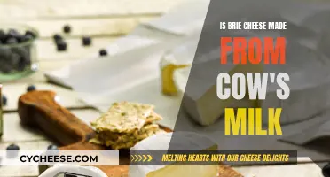 Brie Cheese: Is It Always Made from Cow's Milk?