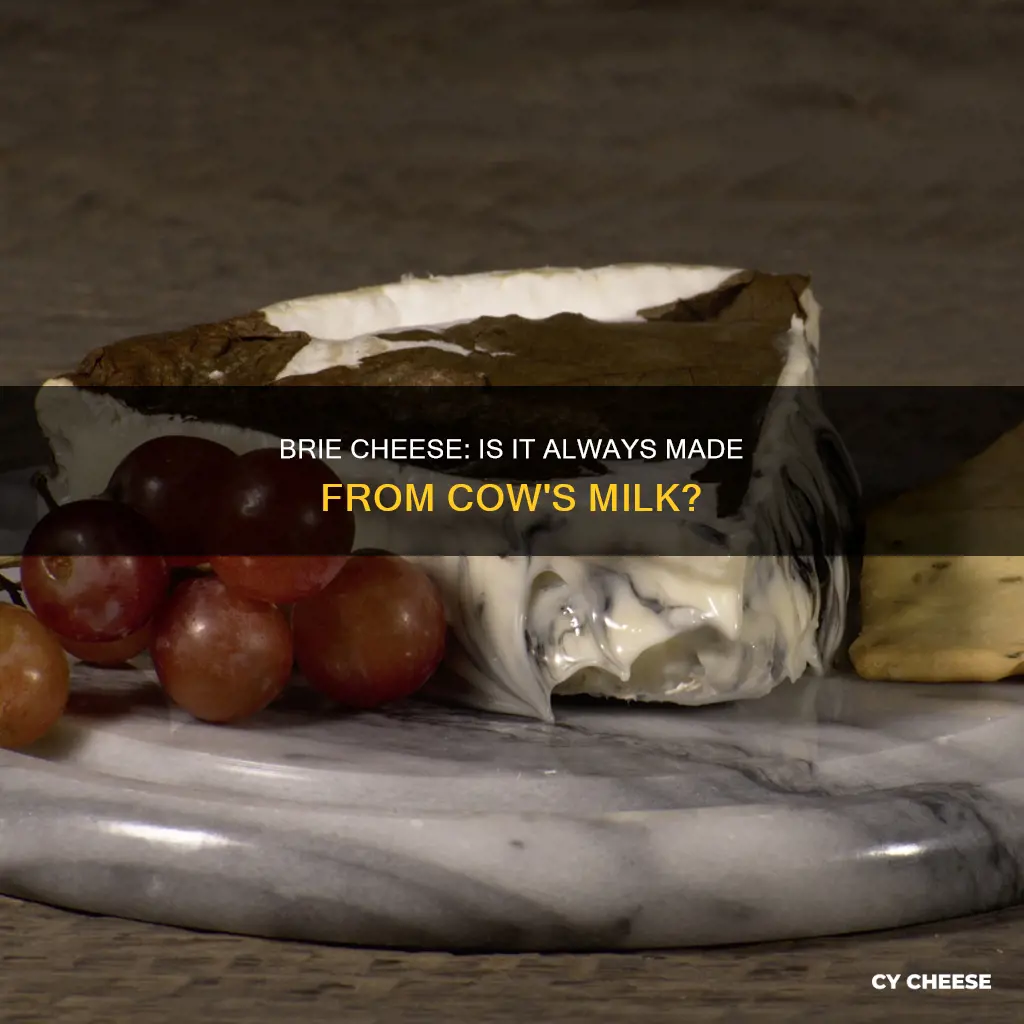 is brie cheese made from cow