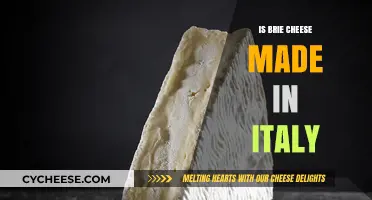 Brie's Italian Roots: A Cheesy Adventure