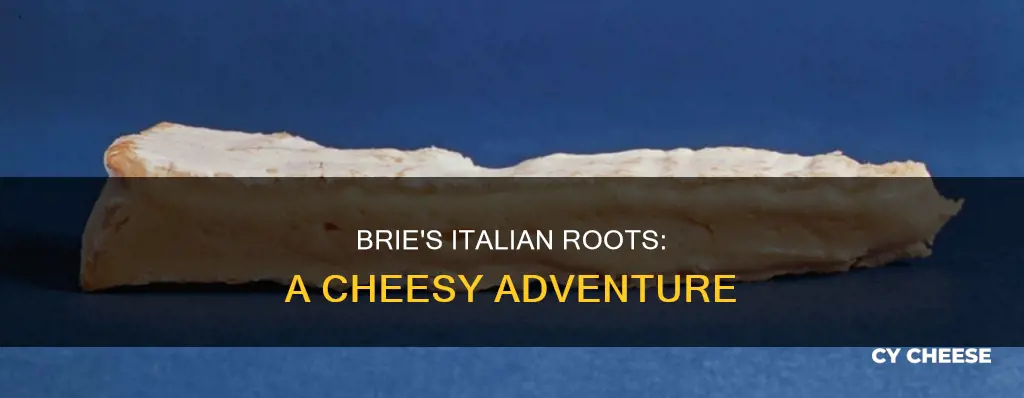 is brie cheese made in italy