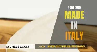 Brie Cheese: An Italian Delicacy?