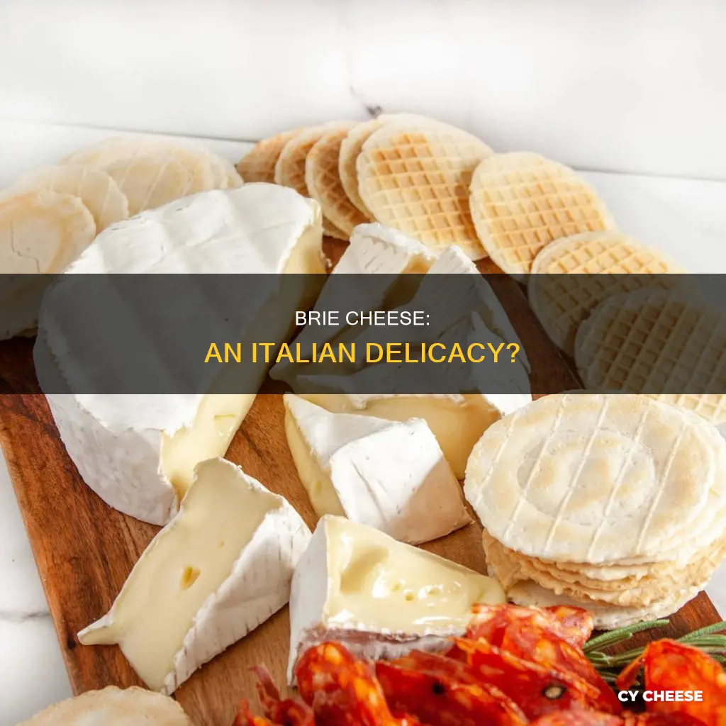 is brie cheese made in italy