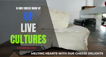 Brie Cheese: Live Cultures and Their Benefits