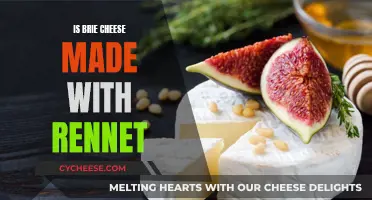 Brie Cheese and Rennet: What's the Connection?