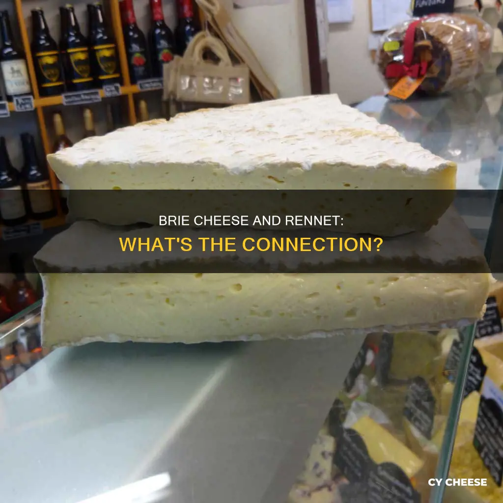 is brie cheese made with rennet