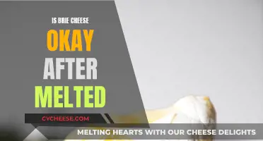 Brie Cheese: Melting and Food Safety