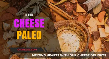 Is Brie Cheese Paleo? A Comprehensive Guide to Dairy on Paleo
