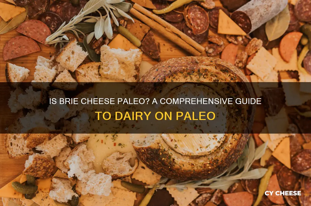is brie cheese paleo