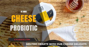 Is Brie Cheese a Probiotic? Uncovering Its Health Benefits and Facts