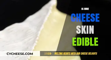 Can You Eat Brie Cheese Rind? The Edible Skin Debate