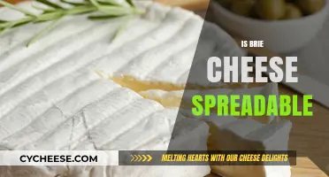 Is Brie Cheese Spreadable? A Guide to Its Texture and Uses