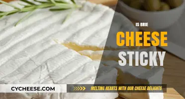 Is Brie Cheese Sticky? Exploring Its Texture and Serving Tips