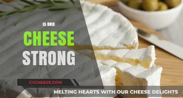 Is Brie Cheese Strong? Exploring Its Flavor Intensity and Characteristics