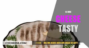 Is Brie Cheese Tasty? A Creamy, Rich, and Decadent Debate