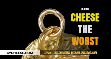 Is Brie Cheese the Worst? Debunking Myths and Exploring Its Charm