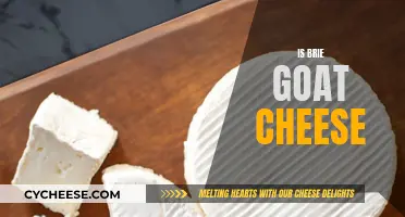 Brie vs. Goat Cheese: Unraveling the Creamy Differences