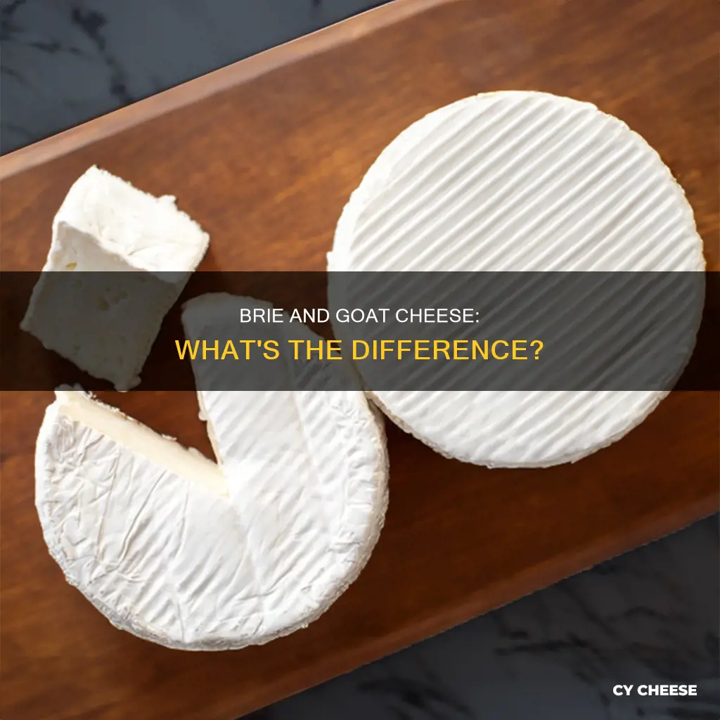 is brie goat cheese