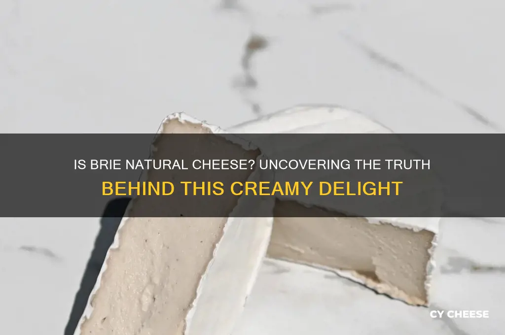 is brie natural cheese