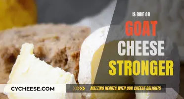 Brie vs Goat Cheese: Which Has a Stronger Flavor?