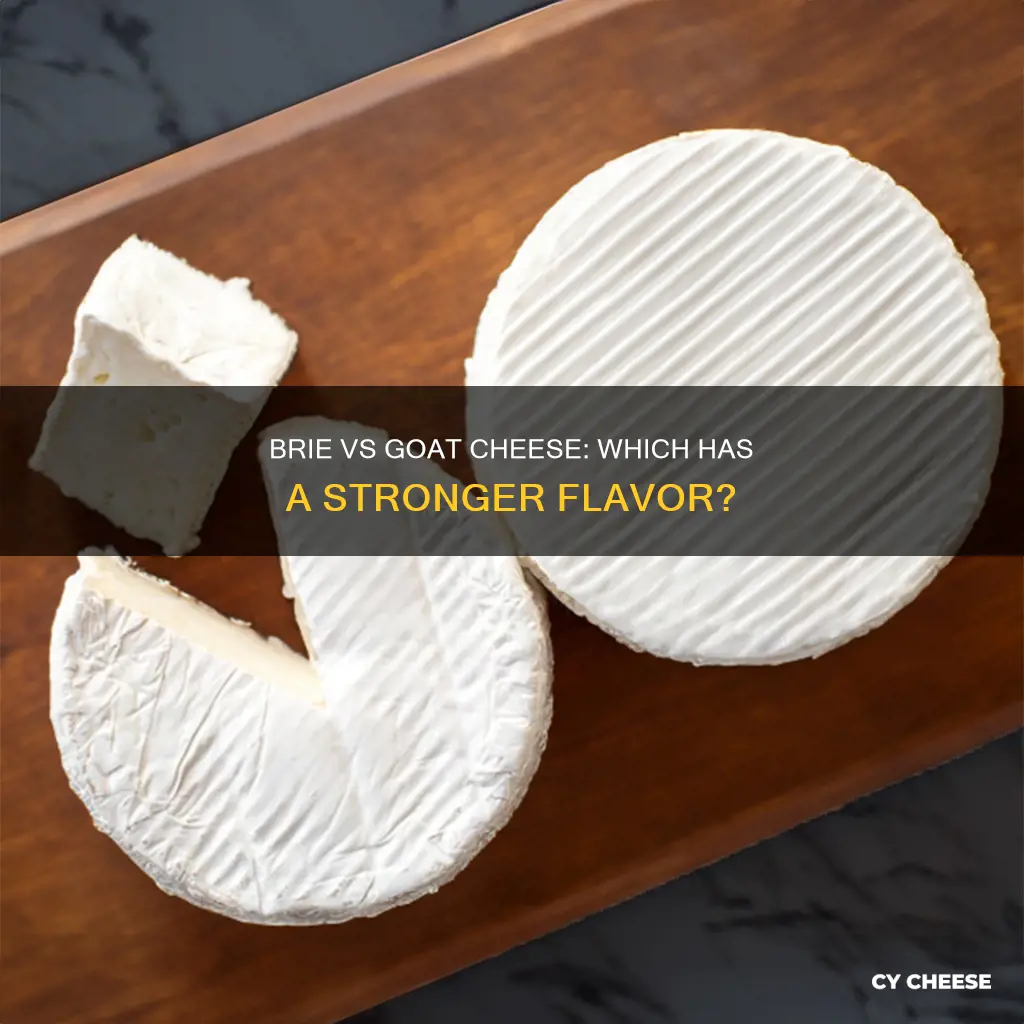 is brie or goat cheese stronger
