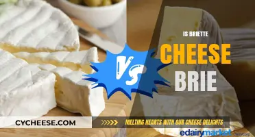 Is Briette Cheese Brie? Unraveling the Confusion and Differences