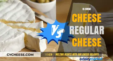 Is Brie Cheese Just Regular Cheese? Exploring the Differences