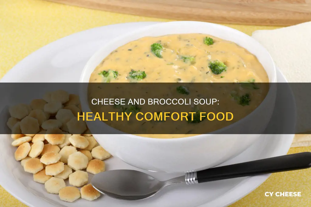is broccoli and cheese soup healthy