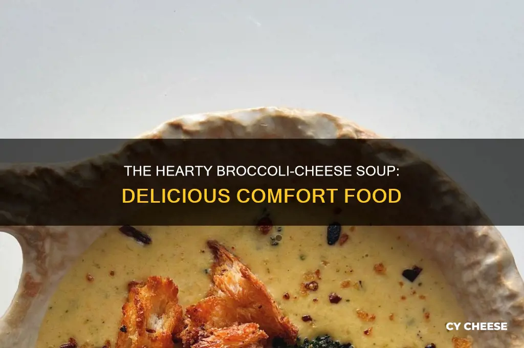 is broccoli ans cheese soup good