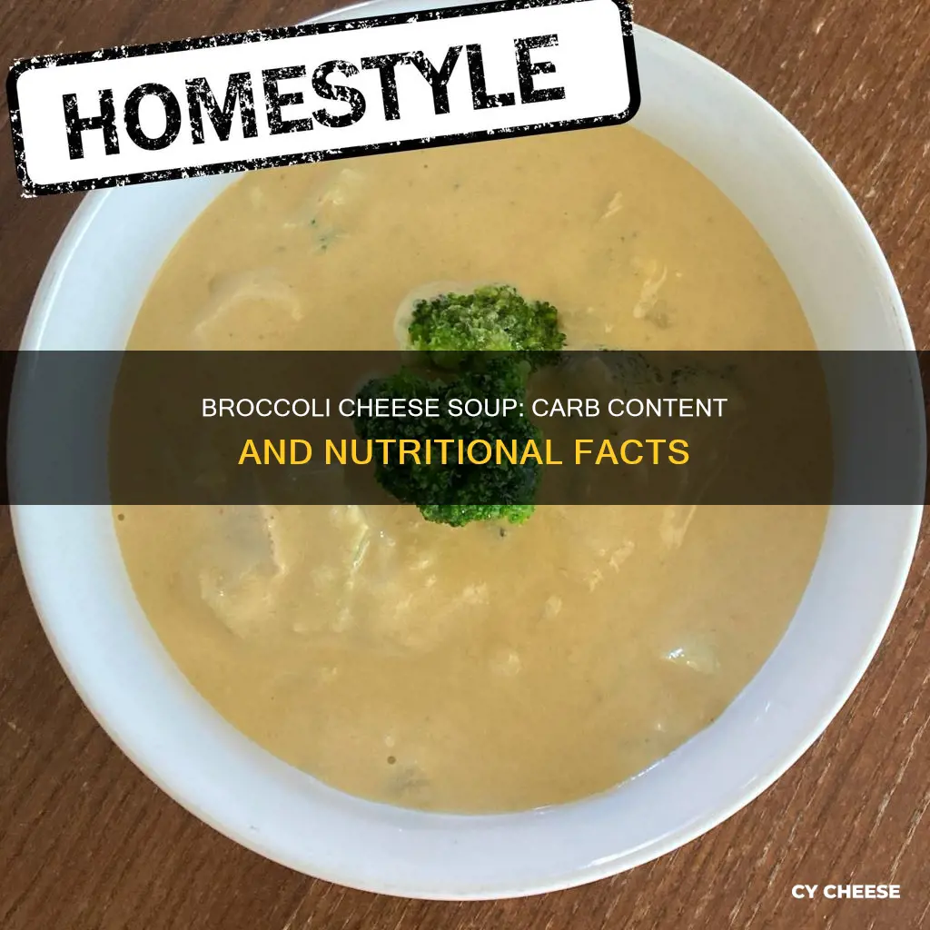 is broccoli cheese soup high in carbs