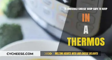 Broccoli Cheese Soup in a Thermos: Safe Storage Tips