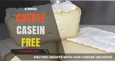 Buffalo Cheese: Casein-Free Superfood?