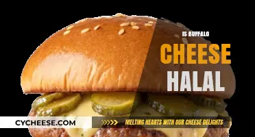 Is Buffalo Cheese Halal? Exploring Its Production and Religious Compliance