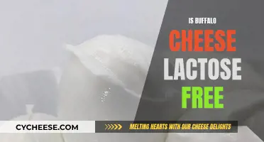 Buffalo Cheese: Lactose-Free Superfood?