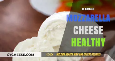 Buffalo Mozzarella: Healthy, Nutritional Cheese Option?