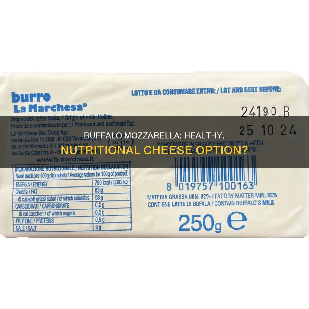 is buffalo mozzarella cheese healthy