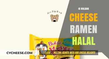 Is Buldak Cheese Ramen Halal? Exploring Ingredients and Certification