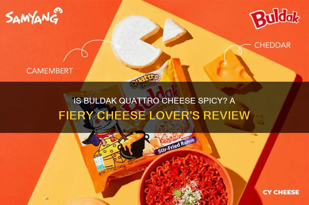 is buldak quattro cheese spicy