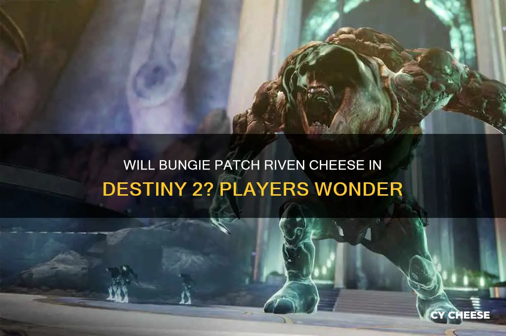 is bungie going to fix the riven cheese
