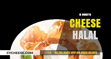 Is Burrata Cheese Halal? Exploring Its Ingredients and Preparation