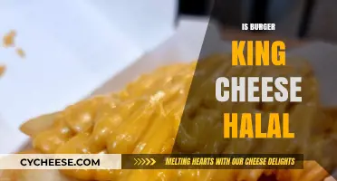 Is Burger King Cheese Halal? Exploring Ingredients and Certification