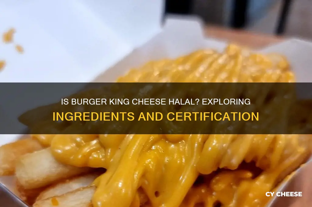 is burger king cheese halal
