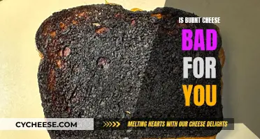 Burnt Cheese: Is It Harmful to Your Health?
