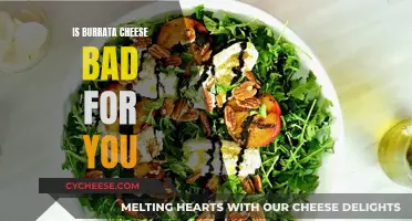 Burrata Cheese: Healthy or Harmful?